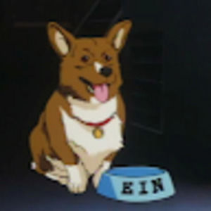 Meet your Posher, Owen